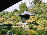 日本京都著名景點：清涼寺，適合打卡拍照📸