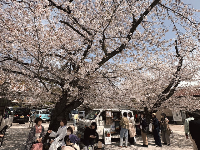 東別院站市集&賞櫻🌸