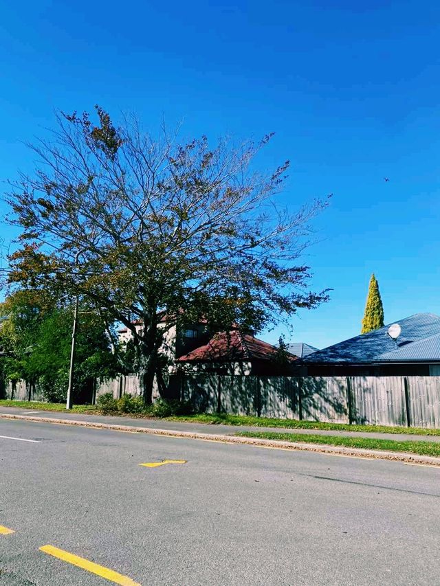 新西蘭著名旅遊城市基督城旅行攻略，適合打卡拍照📸
