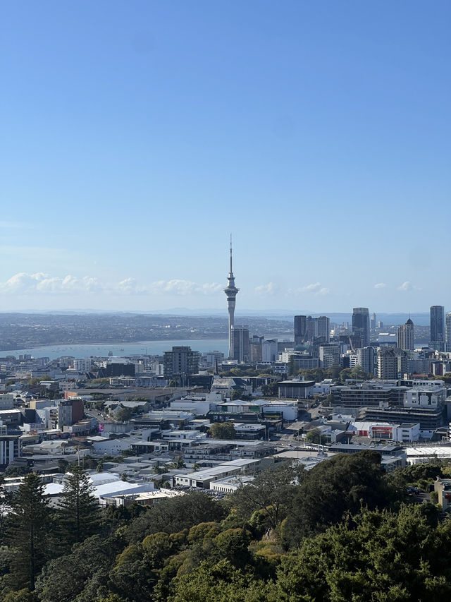 An afternoon in Auckland 🇳🇿