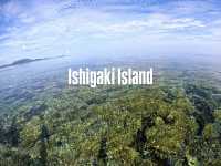 【石垣島】リアルリトルマーメイドの世界🪸🐠