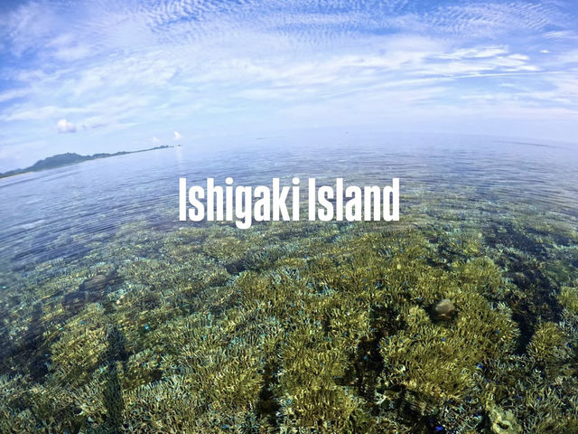 【石垣島】リアルリトルマーメイドの世界🪸🐠