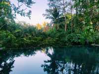 🌴Serene Infinity Pool at The Farm🌴