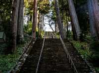 Blossoms in Stillness: Springtime at Minobusan Kuonji