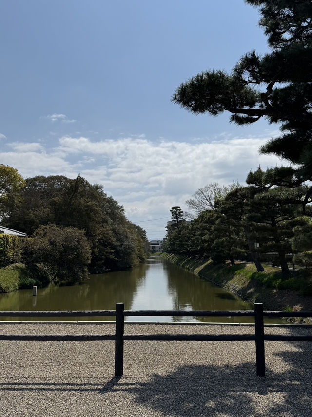 「大仙古墳で感じる静かな永遠⛰️⛩️」