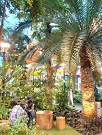 DISCOVER THIS GREEN GEM IN HAMAD INTERNATIONAL AIRPORT