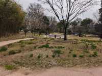 木槿花公園/舍廊房