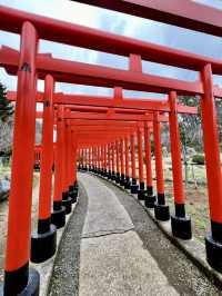 Foxes, Forests & a Thousand Gates — My Takayama Inari Shrine Stroll