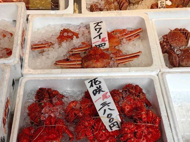 HOKKAIDO EP3 :Sapporo 