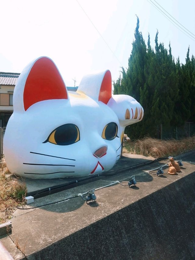 電影《想哭的我戴上了貓的面具》的真實場景