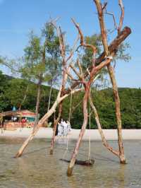 불가사리랑 인생샷 필수 🏖️ 스타피쉬비치