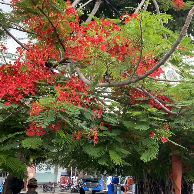 Uncovering the Gems of Old Town Batavia