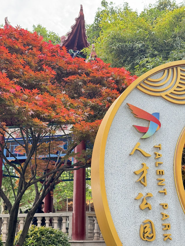 反向旅遊成功！吉安這座神仙小城🫶