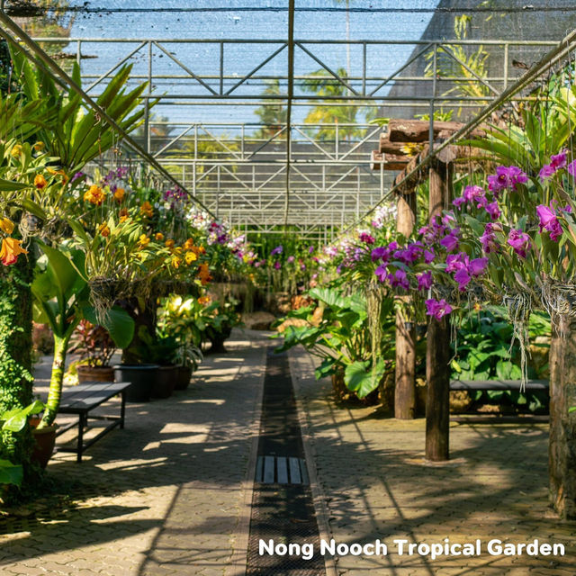 Nong Notch Tropical Park
