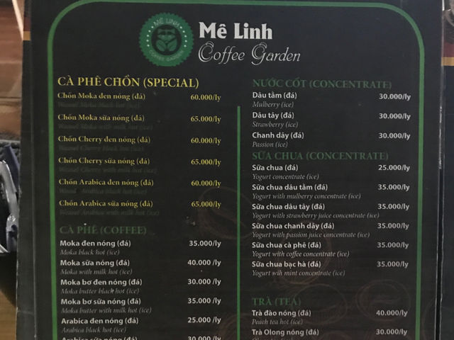 커피농장에서 달랏 커피를 마시기