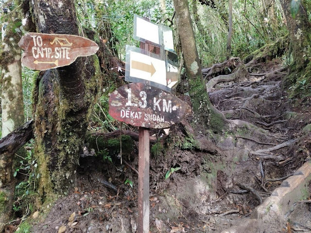 🌄 Maragang Hill: The Mini Mountain with MAXI Views!🌿