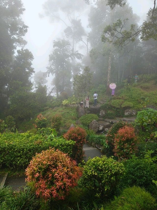 A Peaceful Walk in the Clouds: Japanese Village at Colmar