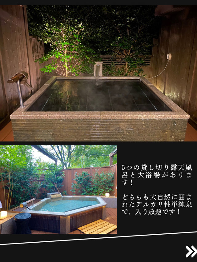 【遊びも飲食も温泉も無料！森と湖のリゾートホテル】アンダの森いっぺき湖