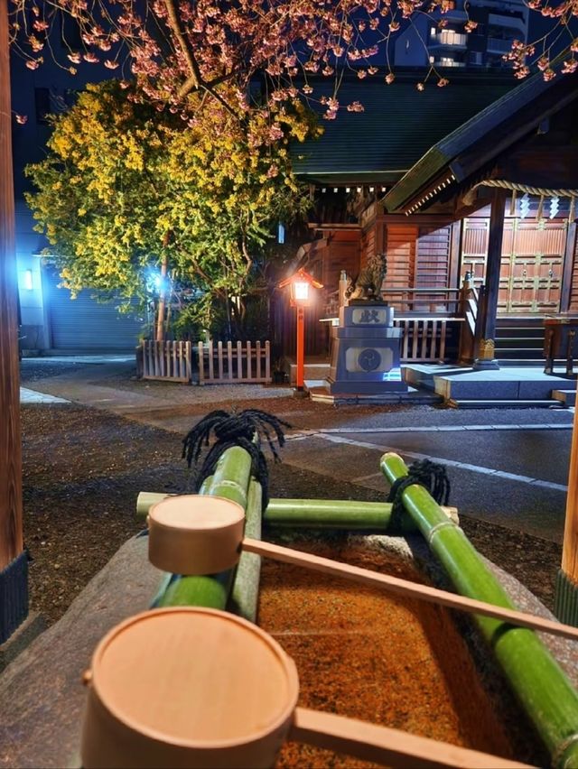 Kuramae Shrine Sakura | Tokyo's Hidden Riverside Blossom Spot
