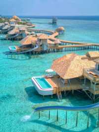 🌺 Escape to Untouched Beauty: Haa Dhaalu Atoll, Maldives! 🌊✨