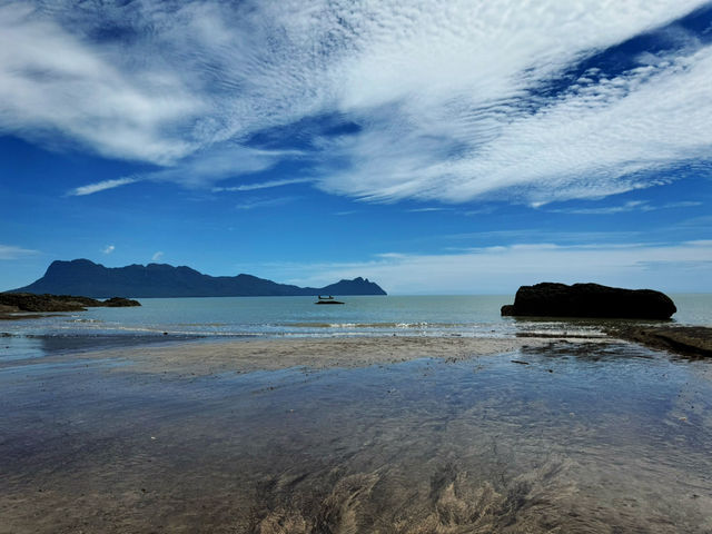 Whispers of the Wild: Sharing Thoughts After an Unforgettable Journey to Bako National Park