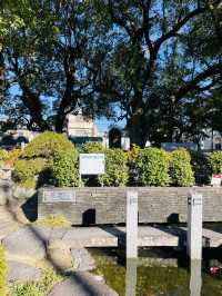 【和歌山県:新宮】新宮・熊野観光におすすめスポット
