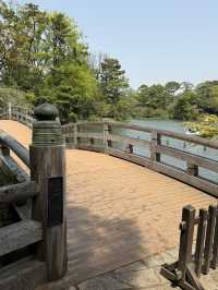 📍 洗足池公園/東京
