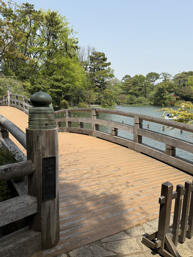 📍 洗足池公園/東京