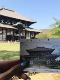 奈良の象徴「東大寺」—世界最大級の大仏と1300年の歴史に触れる旅へ 