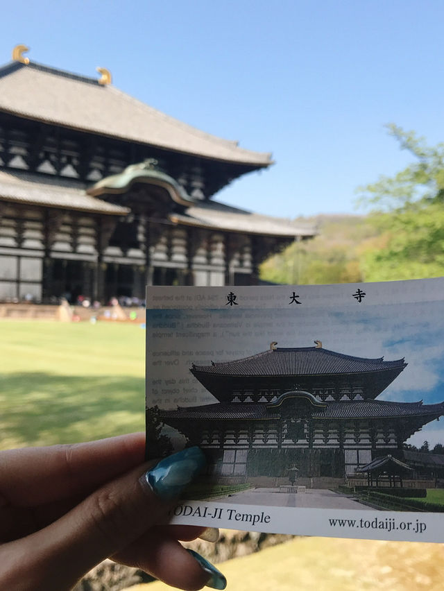 奈良の象徴「東大寺」—世界最大級の大仏と1300年の歴史に触れる旅へ 