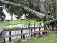 KaJee Cafe' and Hostel