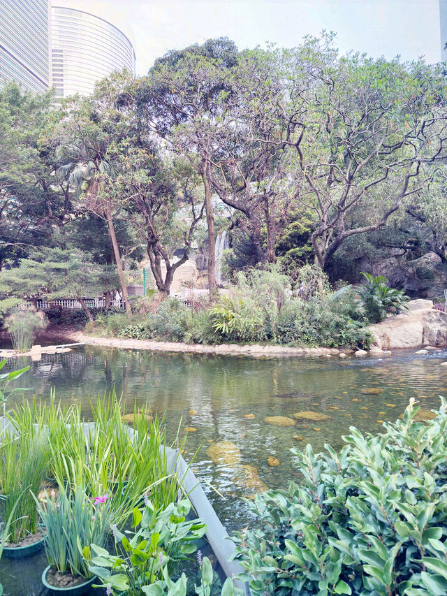 香港｜紅棉路婚姻登記處