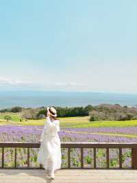 【淡路島】一年中お花を楽しめる楽園🩵🌼
