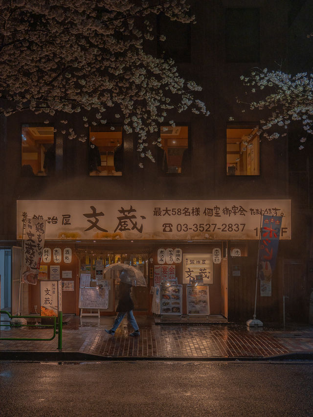 밤벚꽃 명소 가야바초