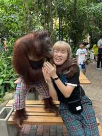 好玩程度破表！曼谷 Safari World 是我心中 No.1 的動物園