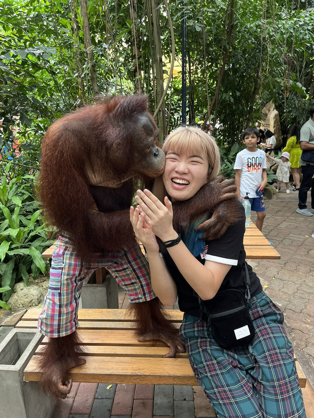 好玩程度破表！曼谷 Safari World 是我心中 No.1 的動物園