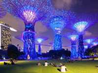 A Walk Through the Future: Exploring Gardens by the Bay, Singapore