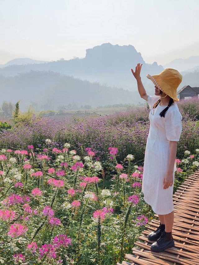 ไร่ภูผาหมวก “สวยดุจภาพวาด”🏞️