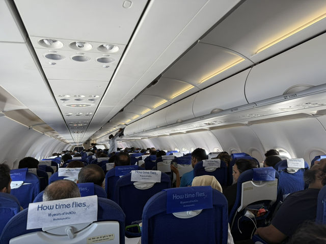 Indigo 體驗
