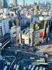 東京Metro地鐵暢遊攻略｜必訪景點、搭車秘訣全解析 
