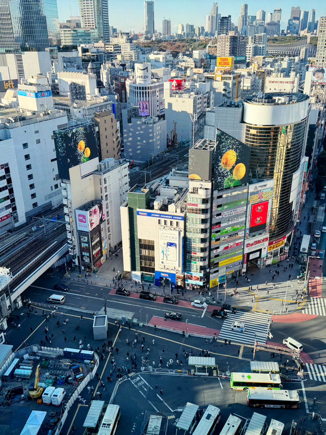 東京Metro地鐵暢遊攻略｜必訪景點、搭車秘訣全解析 
