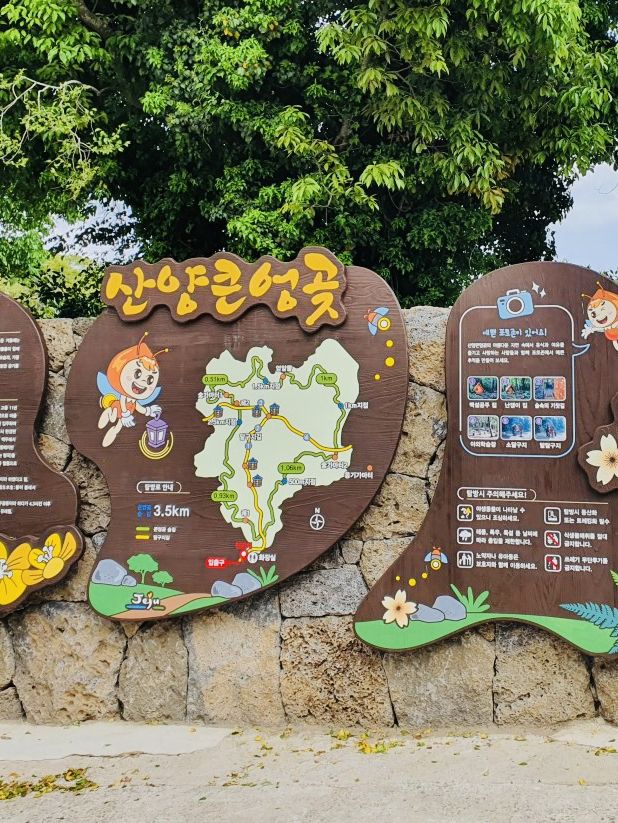 Great Walk in Jeju's Gotjawal Provincial Park! 