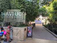 해외여행 칠레 안티아고의 소형 미술관 Museo de Artes Visuales MAVI UC
