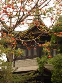 Guangzhou 4 Days Itinerary