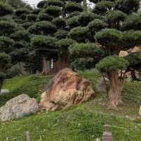 志蓮淨苑及南蓮園池 (Chi Lin Nunnery and Nan Lian Garden) - 寧靜的節慶文化體驗 (Tranquil Festive Cultural Experience)