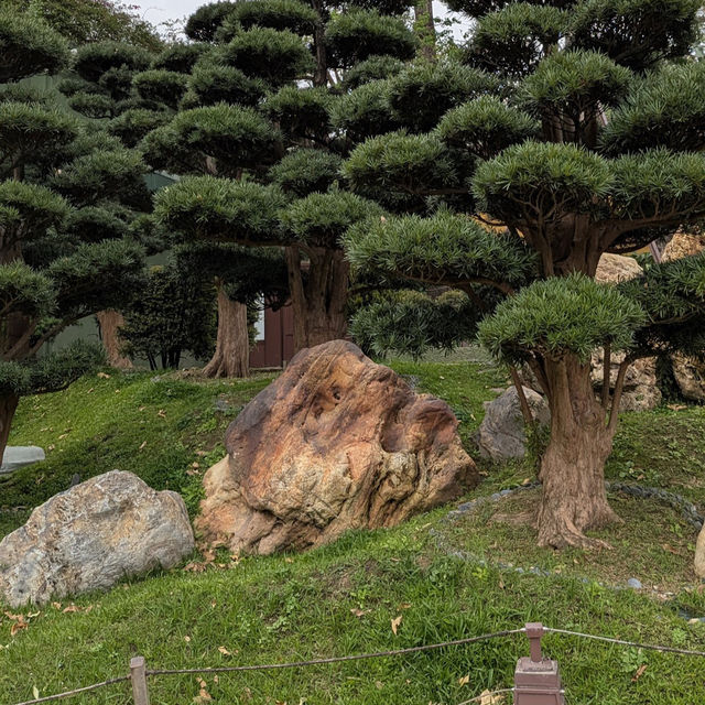 志蓮淨苑及南蓮園池 (Chi Lin Nunnery and Nan Lian Garden) - 寧靜的節慶文化體驗 (Tranquil Festive Cultural Experience)