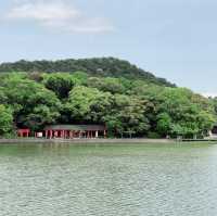 Lush Reflections: Fukada Pond