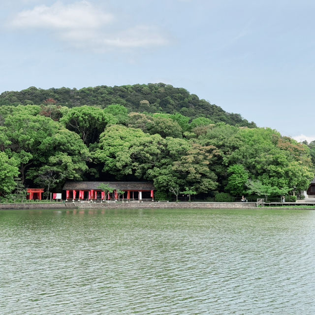 Lush Reflections: Fukada Pond