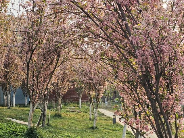 Kunming Waterfall Park