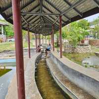🔆น้ำพุร้อนดอยสะเก็ด | ออนเซ็นเชียงใหม่ 🔆